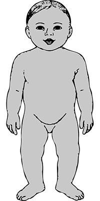 A-propos-niko-body-from-ufo